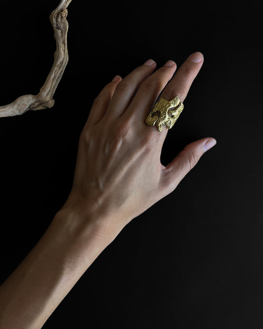 La Puna Ring in Bronze