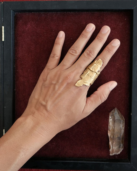 Agua Tierra Tiempo Ring in Bronze