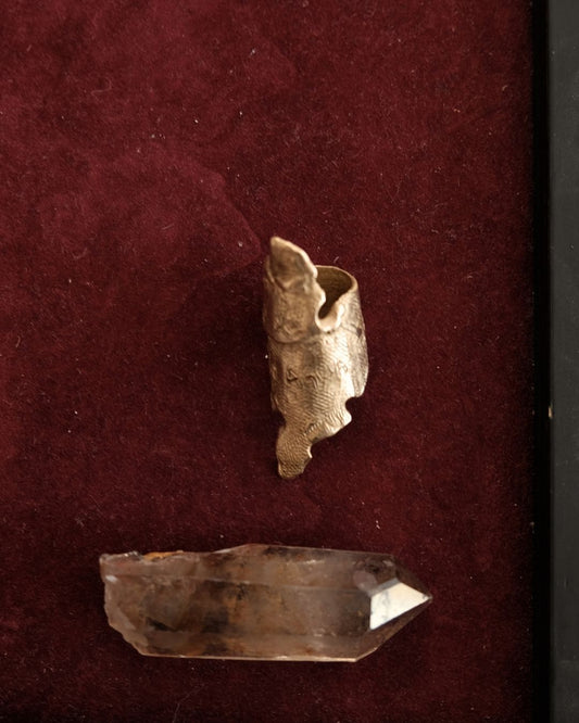 Agua Tierra Tiempo Ring in Bronze