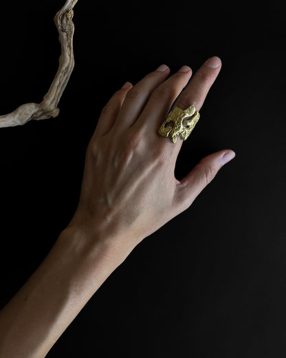 La Puna Ring in Bronze